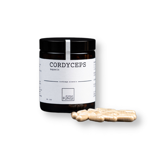 CORDYCEPS kapseln | Cordyceps sinensis Pilz