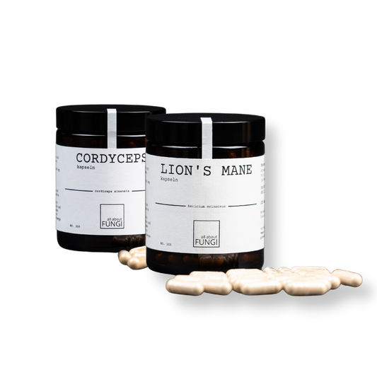 all about FUNGI daily dose bundle