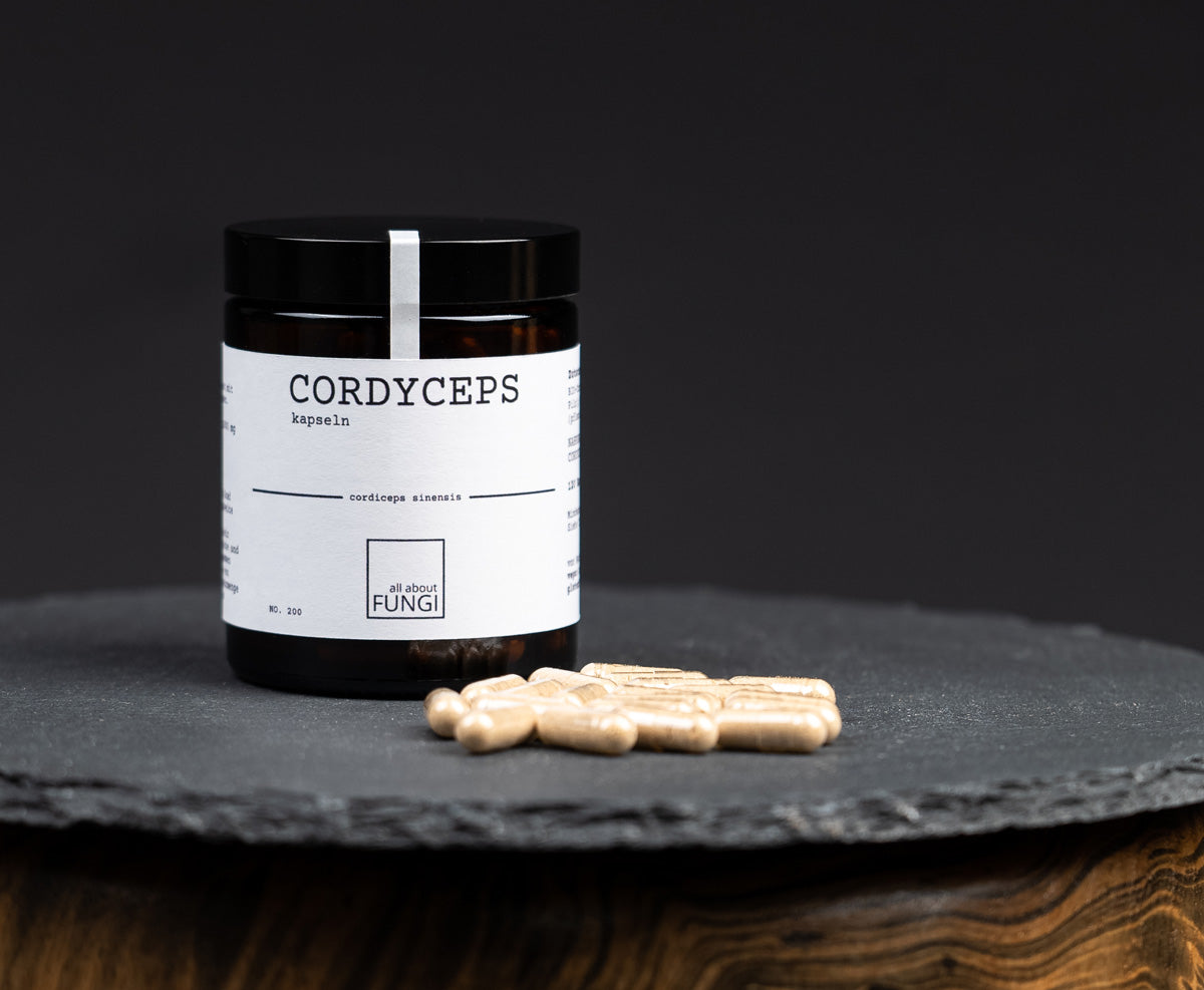 CORDYCEPS kapseln | Cordyceps sinensis Pilz