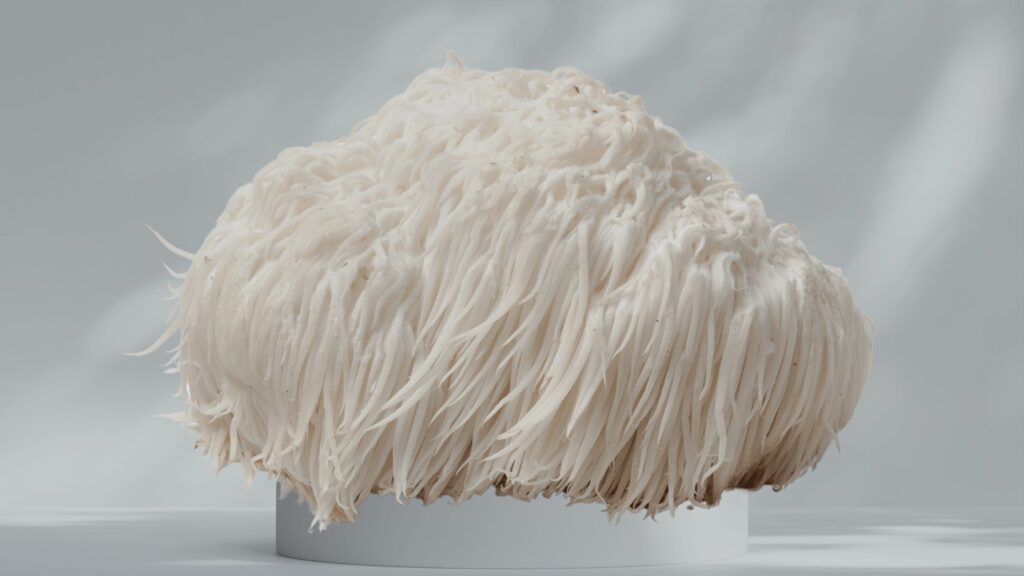 Lion’s Mane Gehirn Wirkung Studie