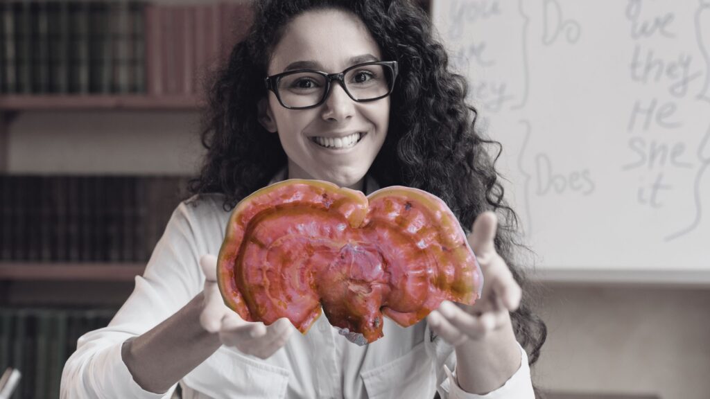 all about FUNGI Reishi & Krebs eine Studienvorstellung.