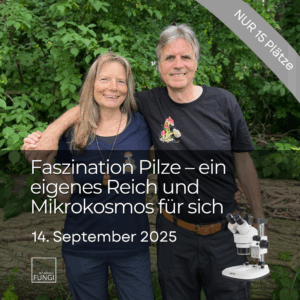 Faszination Pilze – ein eigenes Reich und Mikrokosmos für sich | WORKSHOP