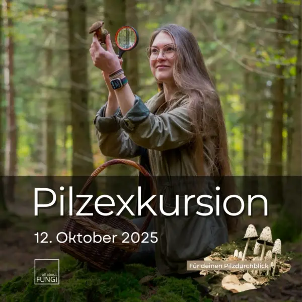 Verena Maria Becker hält einen Pilz in der Hand und schaut ihn sich mit einer Lupe an. Sie sitzt im Wald vor einem Pilzkorb und hat dunkel grüne Kleidung an.