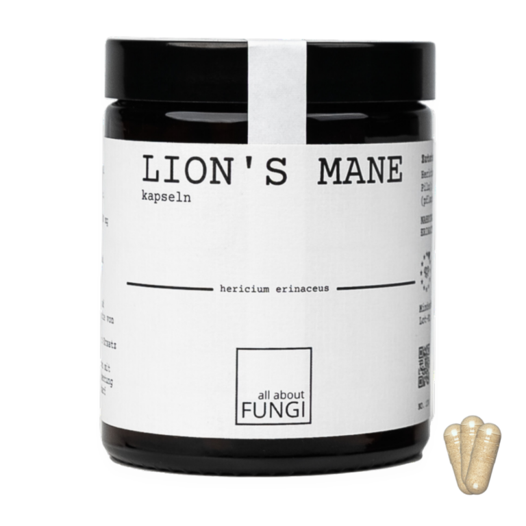 allaboutfungi LionsMane Hericiumerinaceus jetzt kaufen