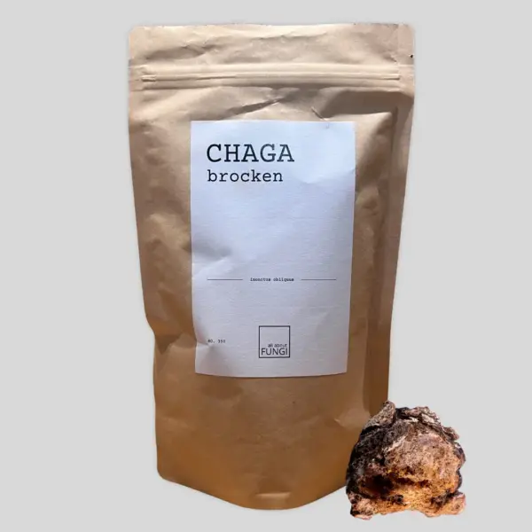 a brown bag with a white label next to a brown rock