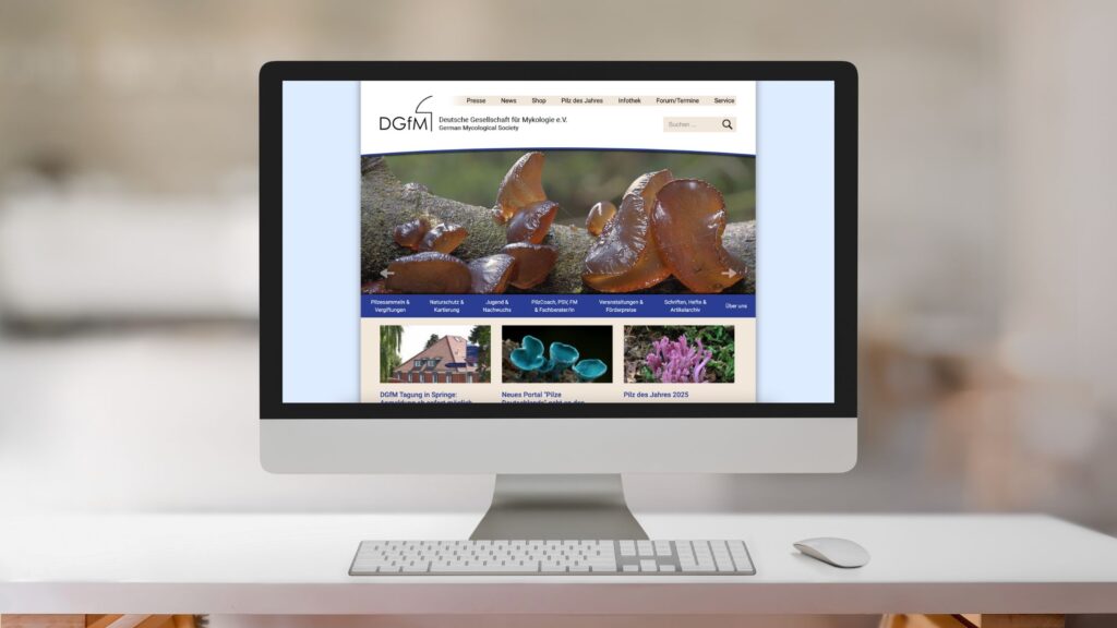 DGfM Deutsche Gesellschaft für Mykologie Homepage auf einem Mac