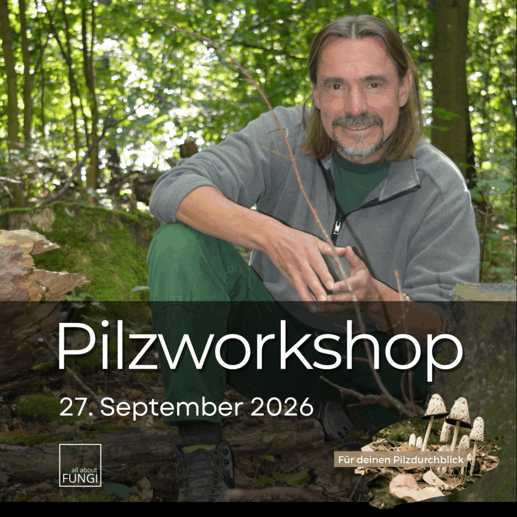 Pilzworkshop mit Steffen Frühbis im Einsatz als PilzCoach der DGfM für all about FUNGI