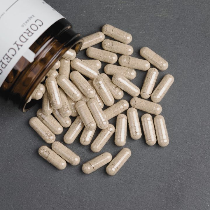 all about FUNGI Cordyceps Pilz Kapseln