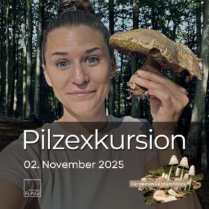 Pilzexkursion bei Freiburg in Breisgau in Baden-Württemberg mit Jana Sommer November