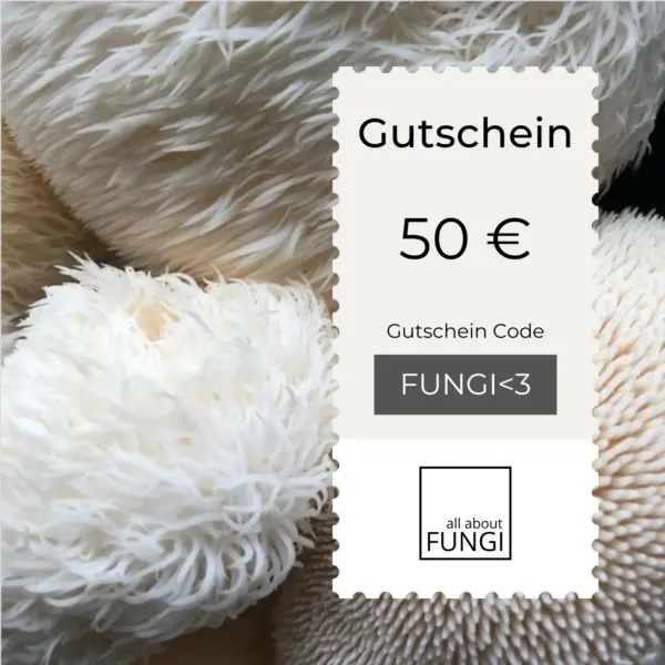 all about FUNGI Wertgutschein